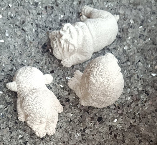 Faule Hunde 3Stk. 5-9cm länge als Set