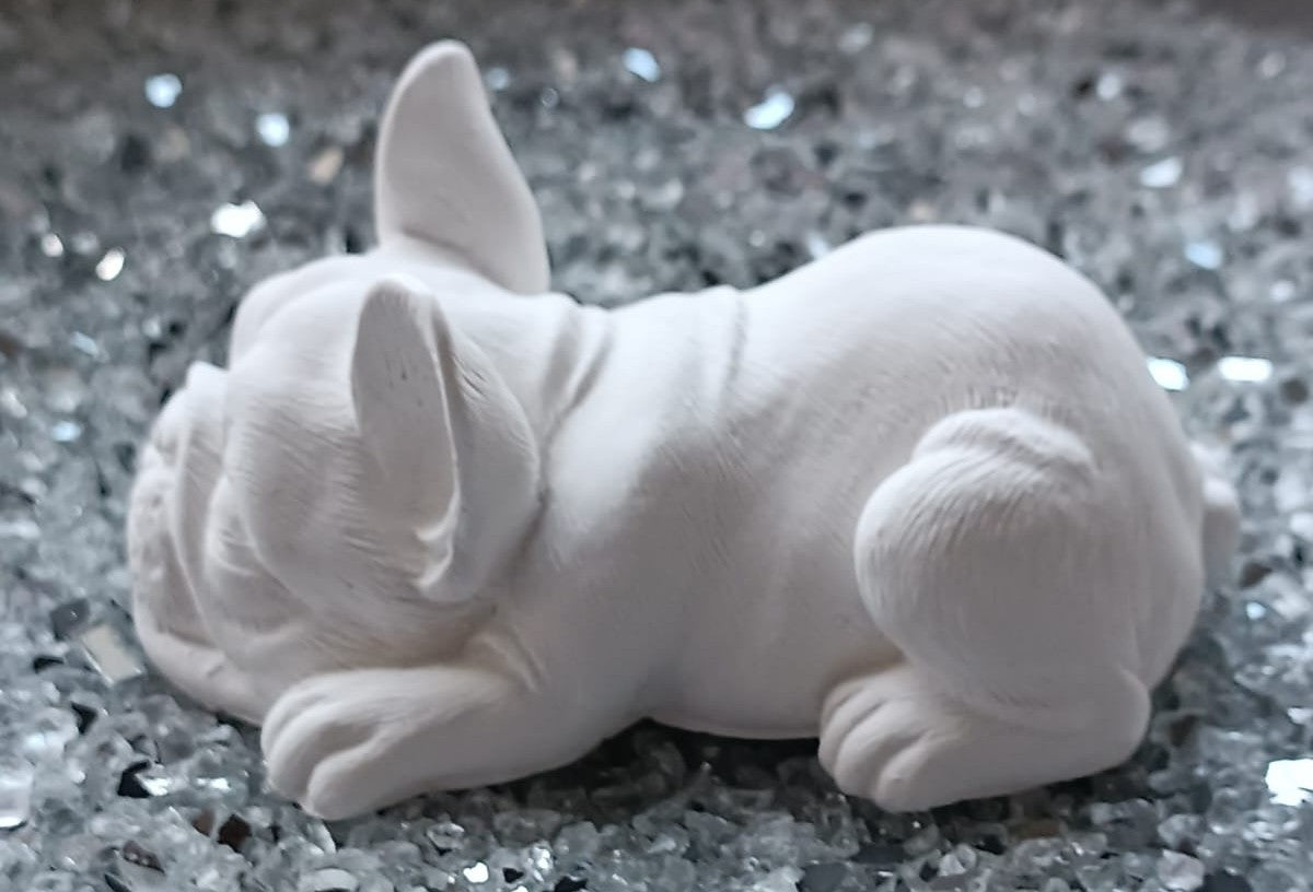 Fauler Hund (Französische Bulldogge)