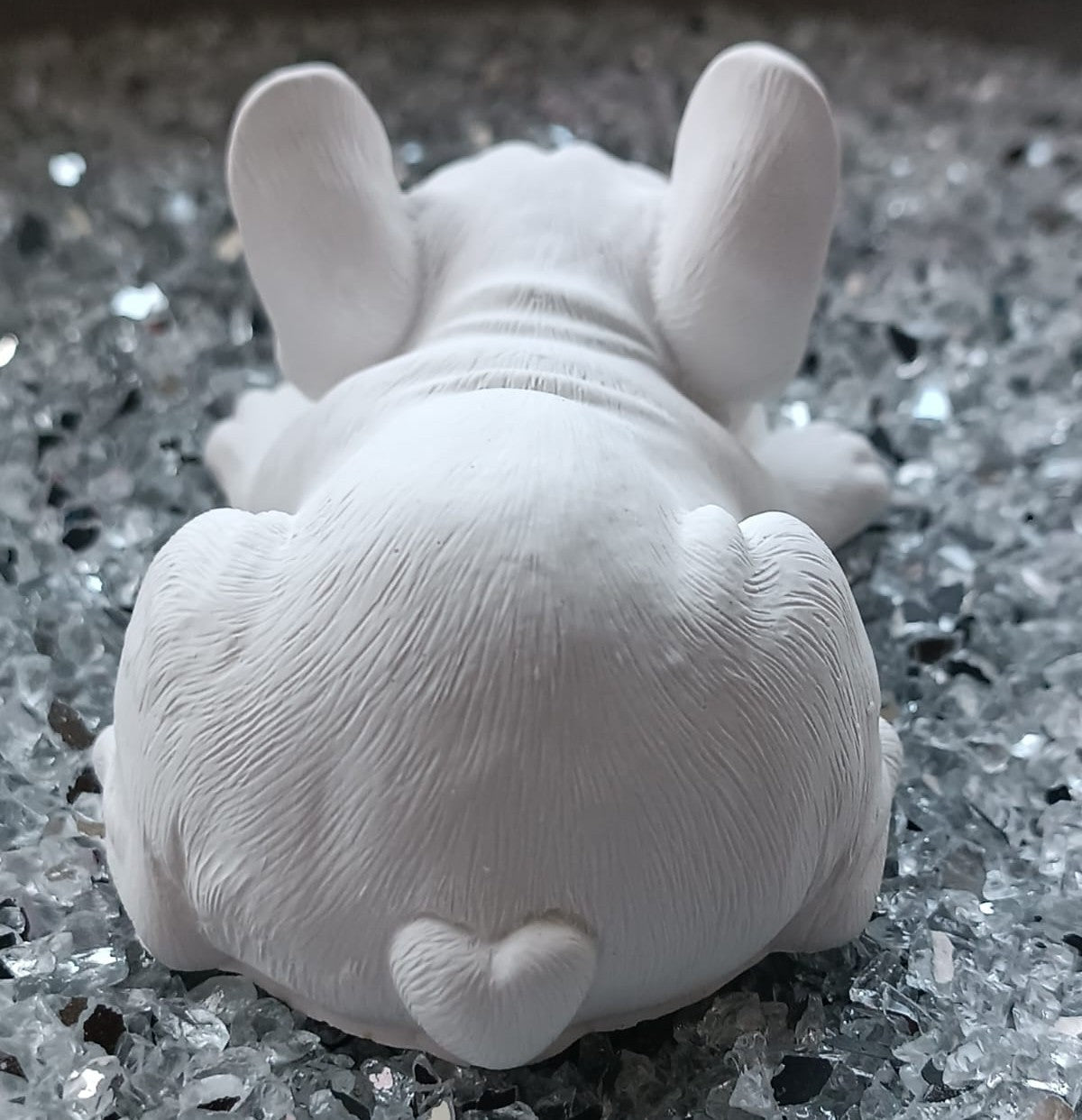 Fauler Hund (Französische Bulldogge)