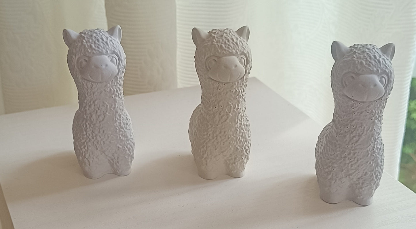 Lama/Alpaka