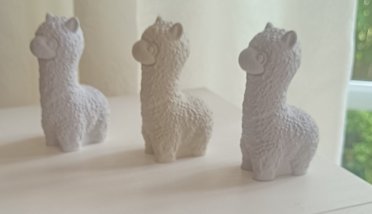 Lama/Alpaka